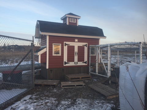 Chicken Coop Blog After Waterproof Sealant Finished