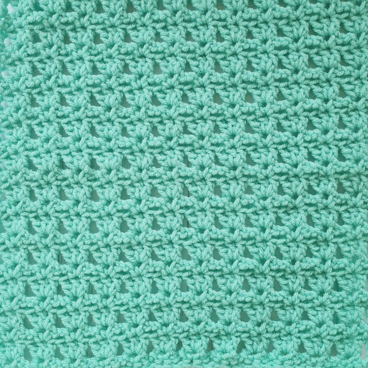 Berry Biscuit Baby Blanket with Gumdrop Border - Easy to Follow Writte -  Secret Yarnery