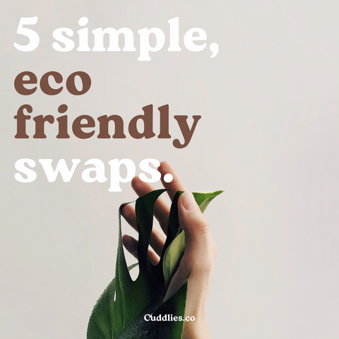 Five simple eco friendly product swaps you can do at home