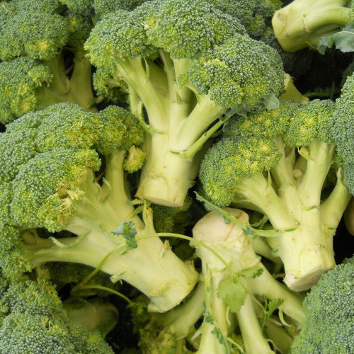 Broccoli de Cicco main heads