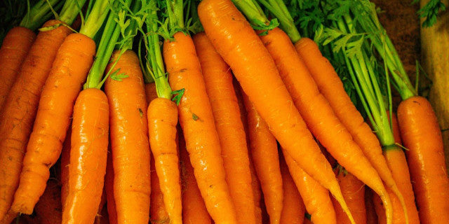 Carrot vegetable seeds