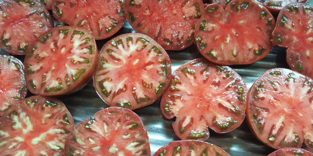 Freshly sliced Cherokee Purple Tomatoes grown from heirloom seeds in NZ garden