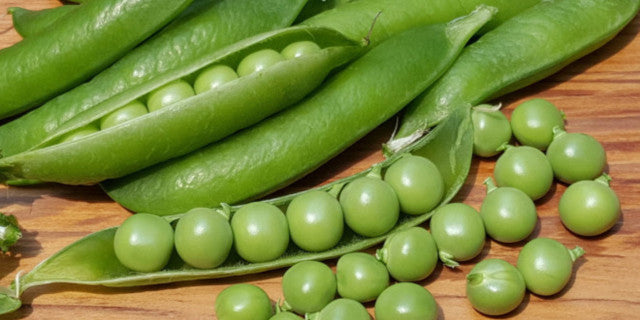 Pea vegetable seeds