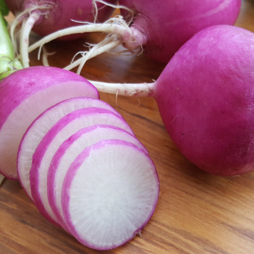 Radish Purple Plum seeds