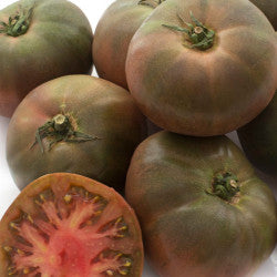 Tomato Black Krim grown from seeds