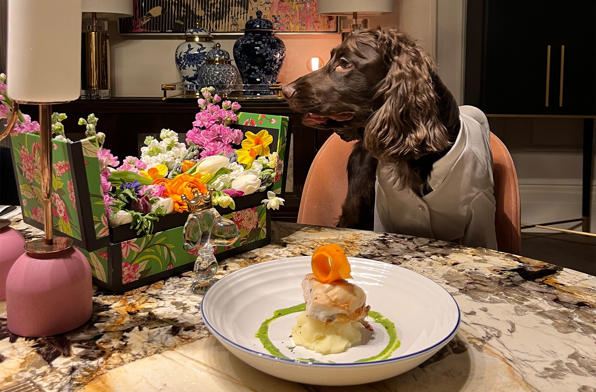 A dog posing with an Over Glam Suit in front of a meal