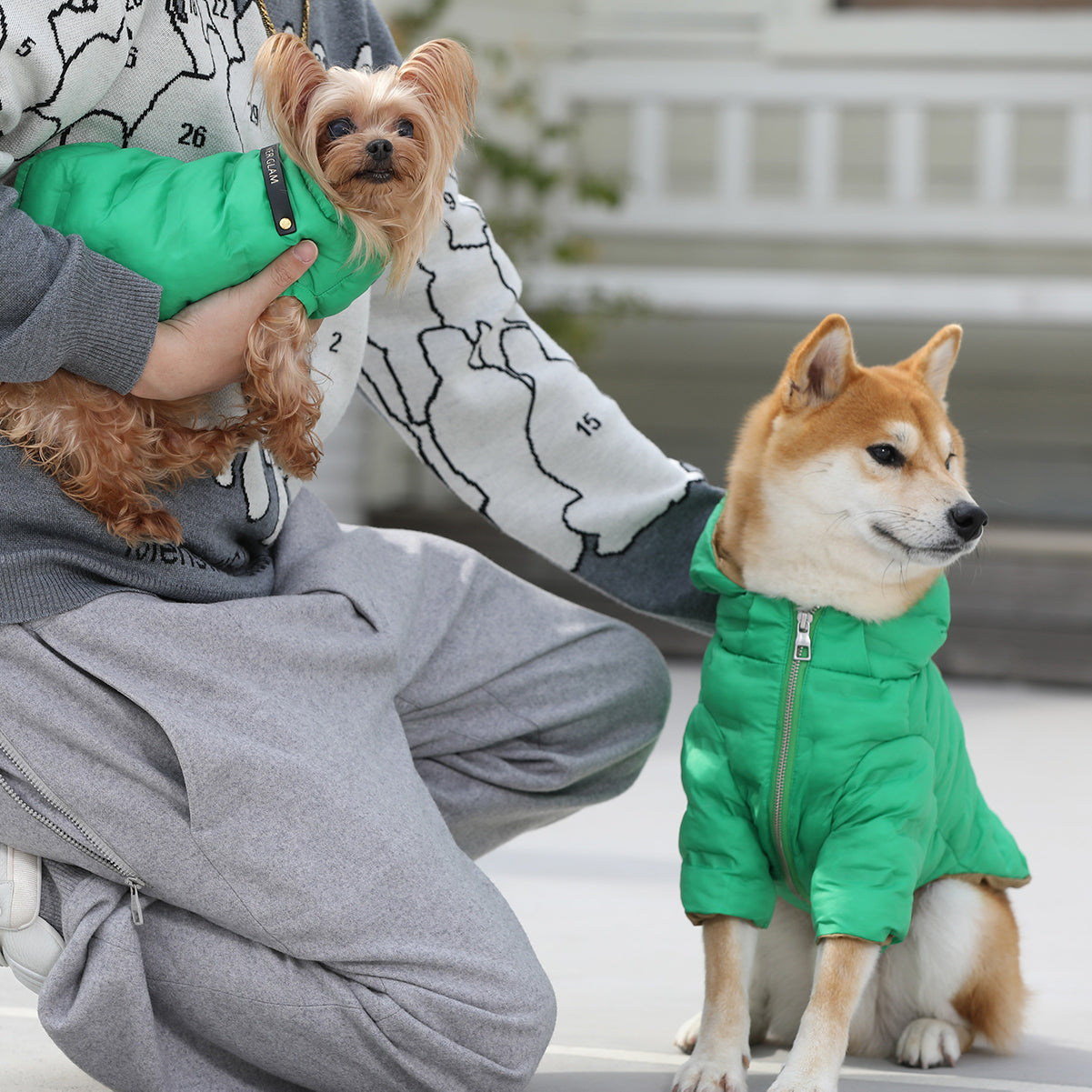 Two dogs outside wearing Over Glam Puffer Jackets