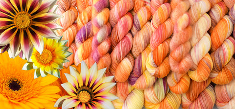 Daisies yarn together with pictures of flowers