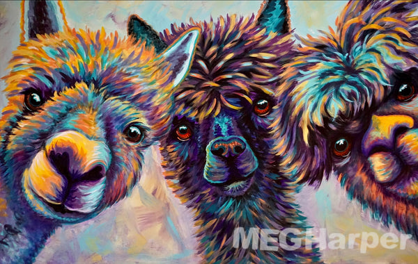 alpaca painting