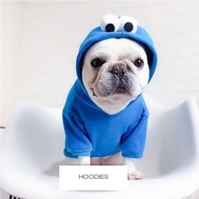 frenchie dog hoodie