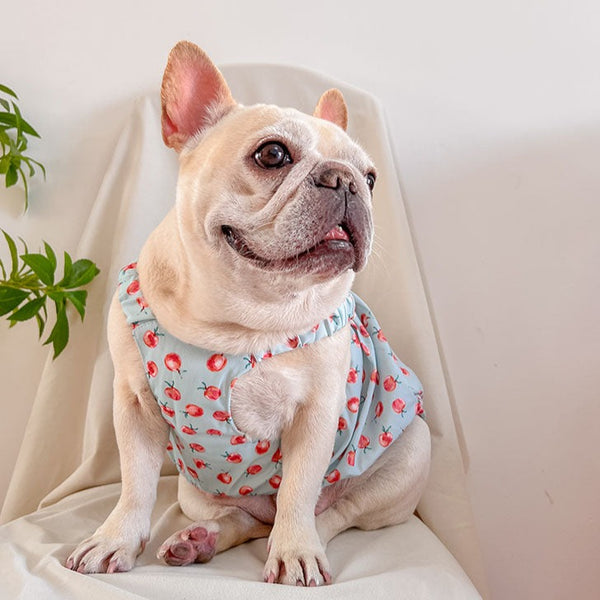 Shop Dog Clothes, Sweaters, Hoodies, Shirts for French Bulldog, Pugs ...