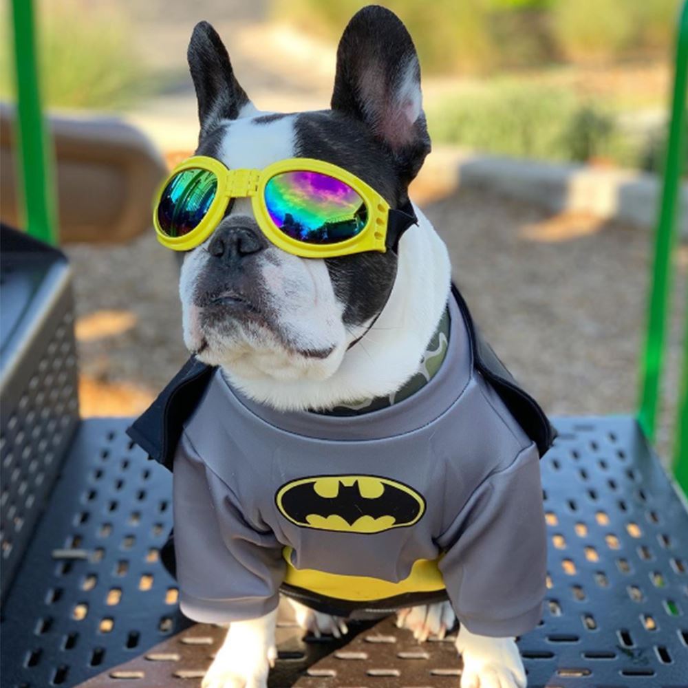 Dog Batman Costume for Medium Dogs 