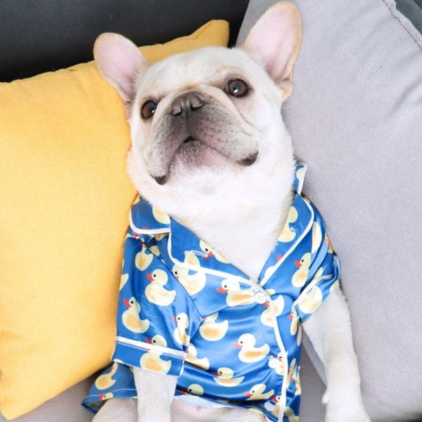 Dog Pajamas & Onesie for French Bulldogs | 100% Happy Dogs Guaranteed ...