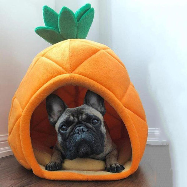 pineapple dog house