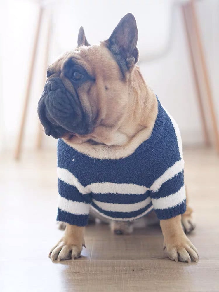 french bulldog puppy sweaters