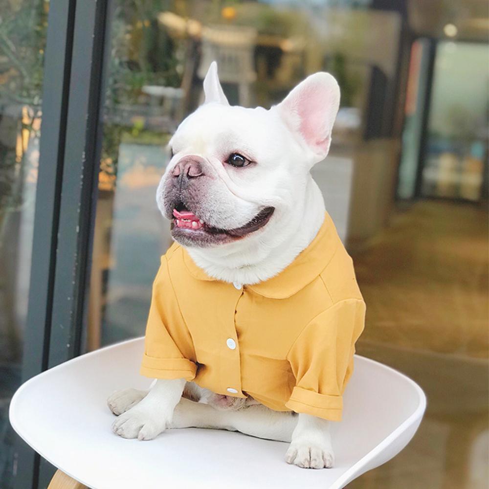 dog button up shirt