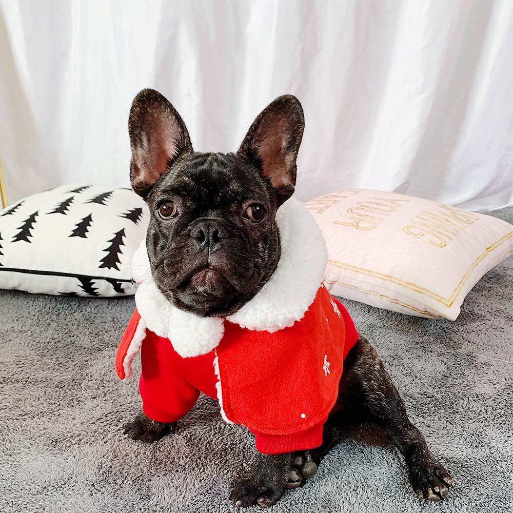 pet christmas outfit