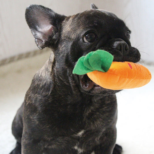 Dog Donut Chewing Toy – Frenchiely