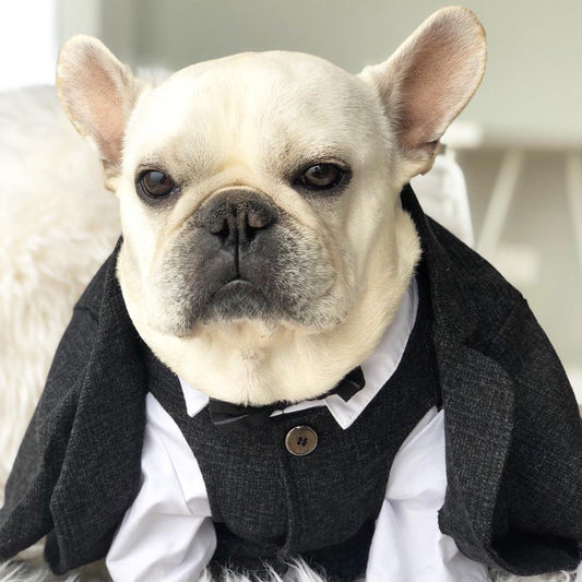 Boy Dog Clothes Wedding Suit Formal Dress Male Dog Clothing Coat