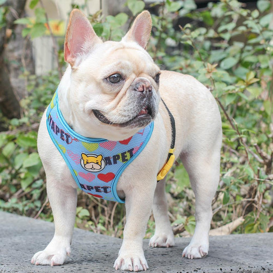 batman dog harness for french bulldogs