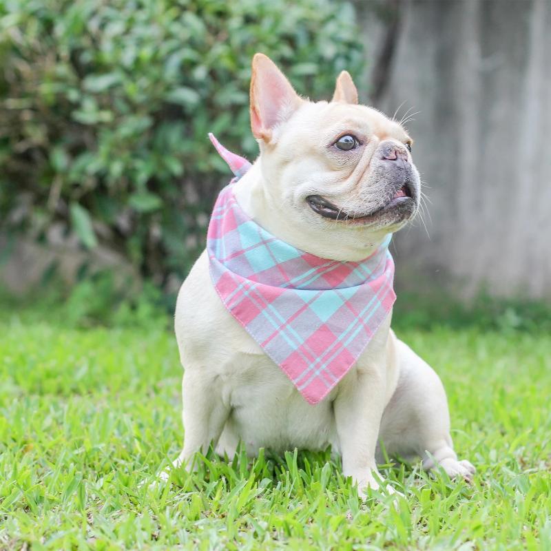 dog plaid scarf