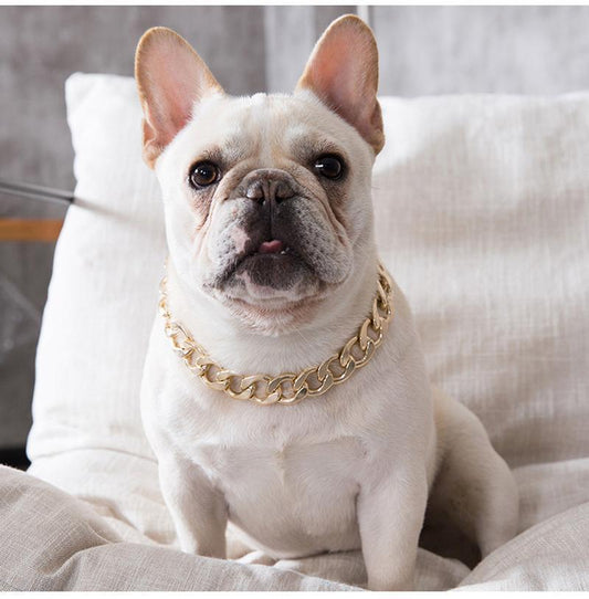 French Bulldog Chain Collar Stainless Steel 18K Gold Plated (WK019) –  frenchie Shop