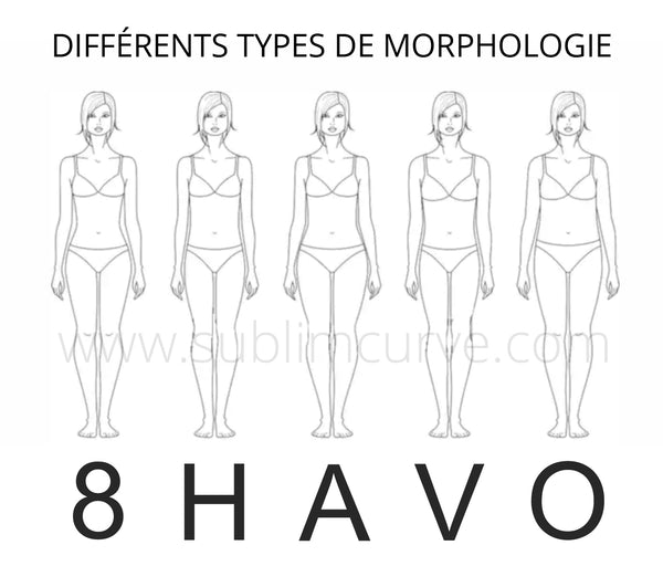 différents types de morphologie