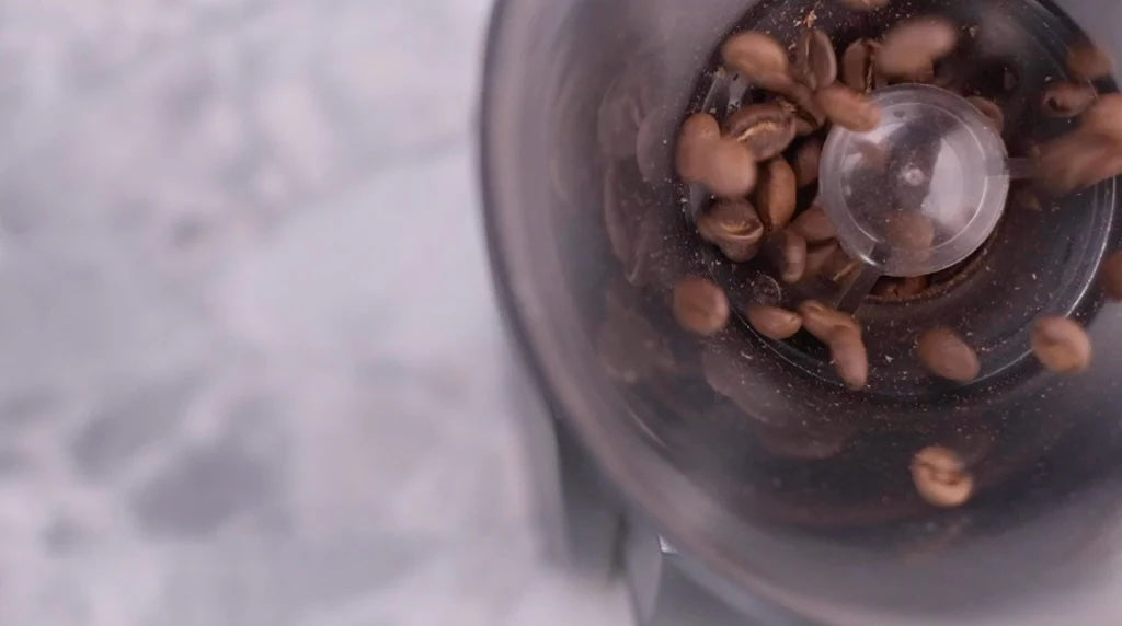 coffee beans in grinder