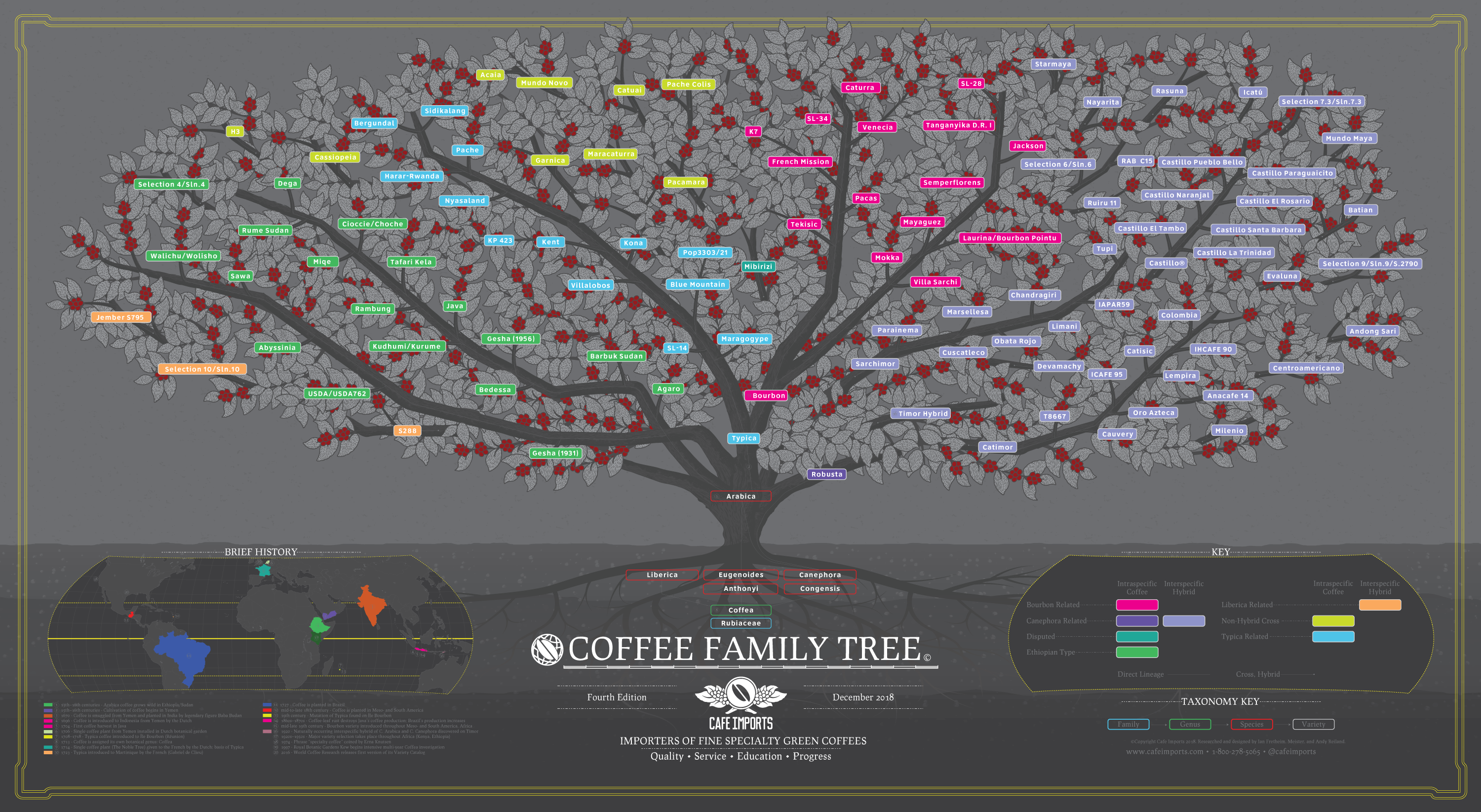 cafe imports variety coffee tree