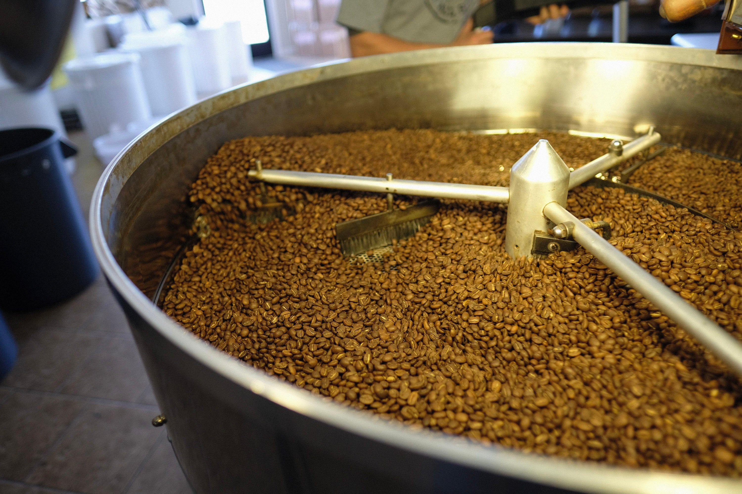 coffee beans in roaster cooling tray