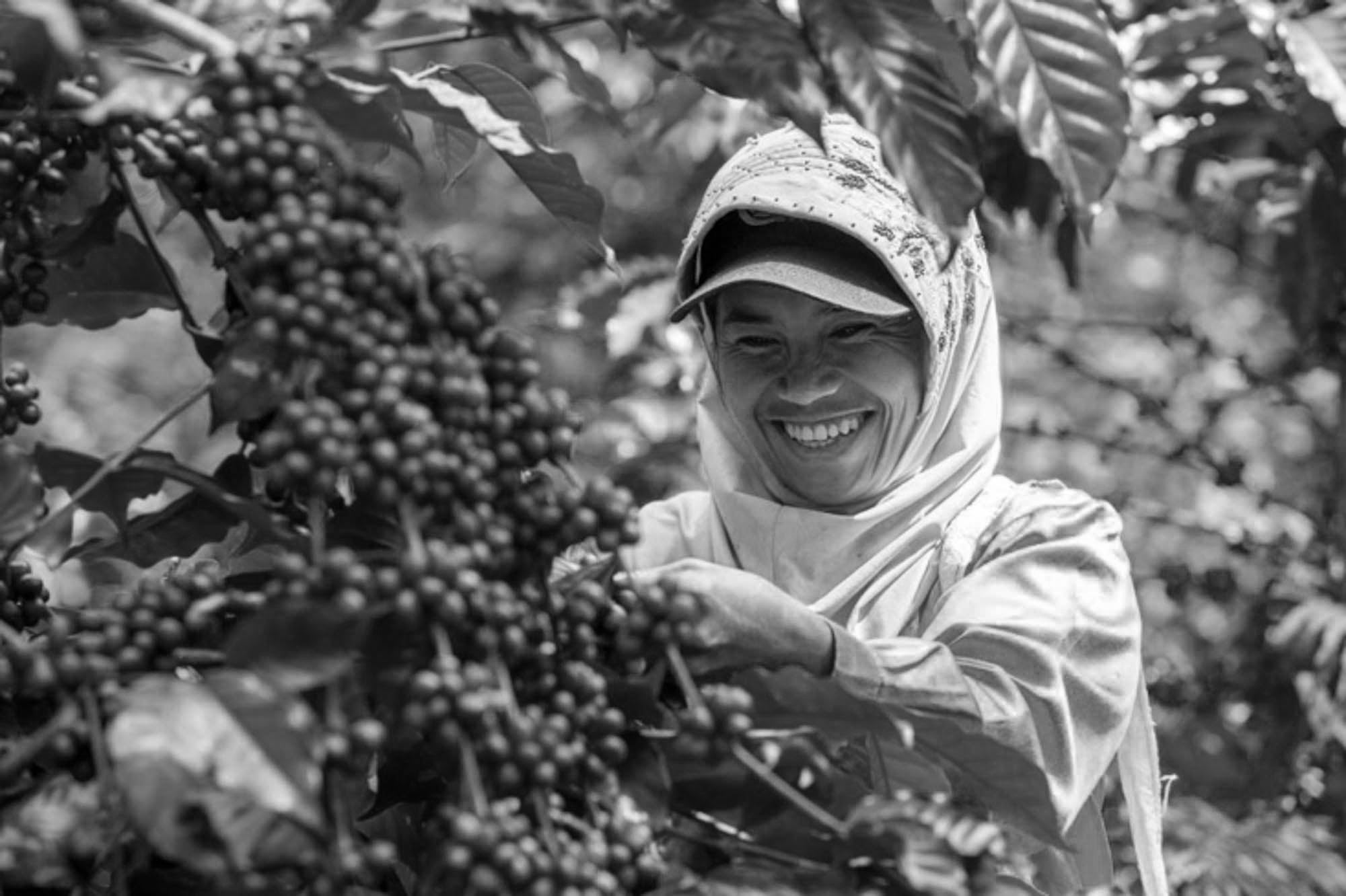 women smiling by coffee plant