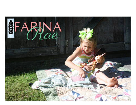 Farina Rae 18 Inch Modern Travel Tote 18" Doll Accessory Pattern larougetdelisle
