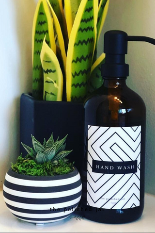 The Polished Jar Soap Dispenser Bottle and Succulents 