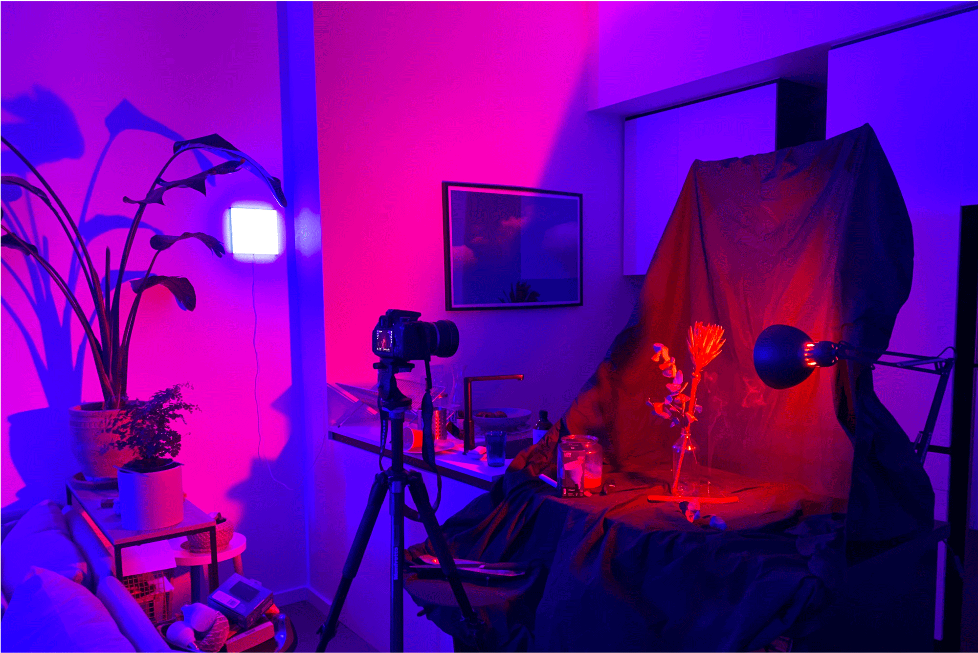 Living room photoshoot pink blue lights 