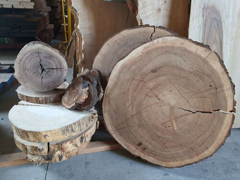 Natural Live edge Pecan round wood slab tree slice, 3 inches thick