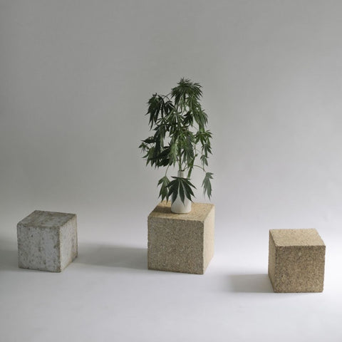 Hempcrete blocks with hemp plant in vase