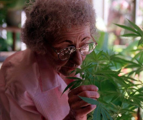 Mary Jane Looks at Cannabis Plants Home Grown