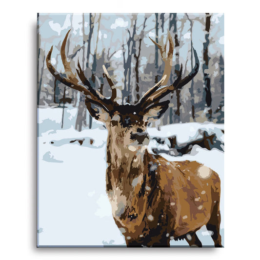 Adult Paint by Numbers with Frame, Deer, Shop Today. Get it Tomorrow!