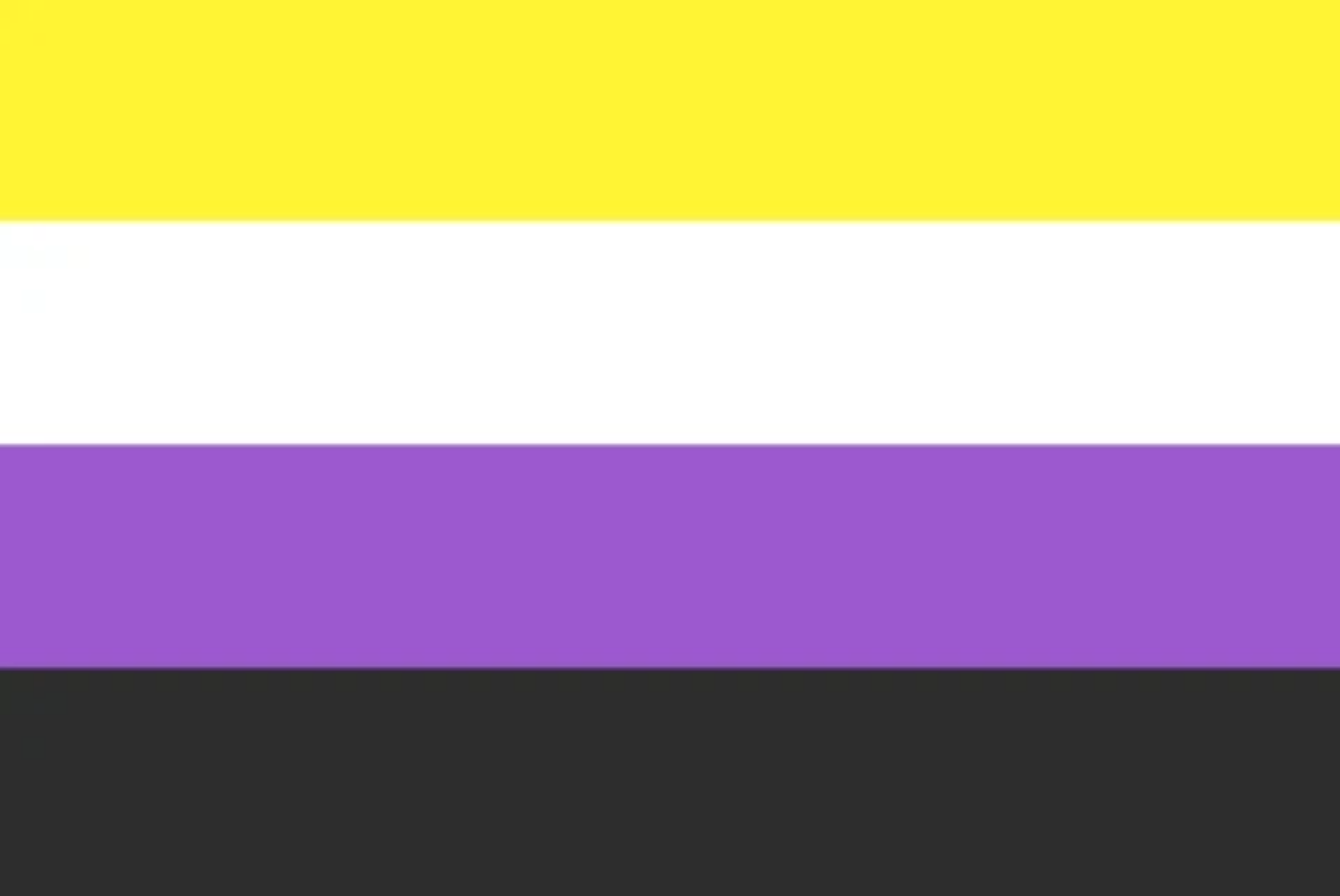 Lgbtq Non Binary Pride Flag 3x5 With Grommets 5158
