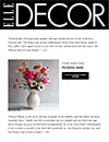 Elle Decor December 9 2022