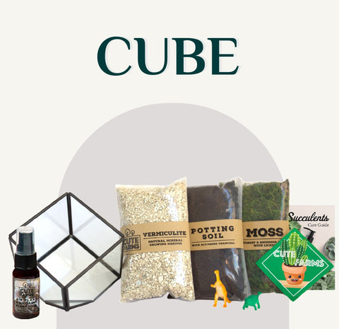 Cute Farms Cube Glass Terrarium Kit