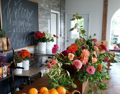 Photo of beautiful florals located at Red Daisy Farms in Brighton Colorado