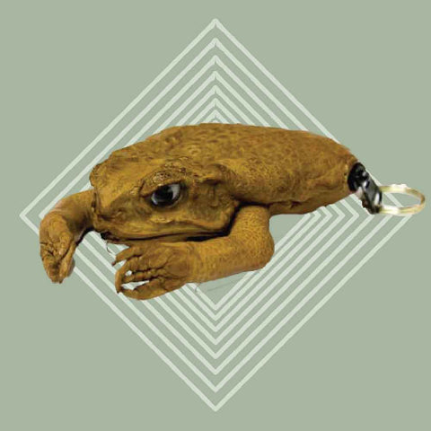 Australian cane toad leather purses : r/ATBGE