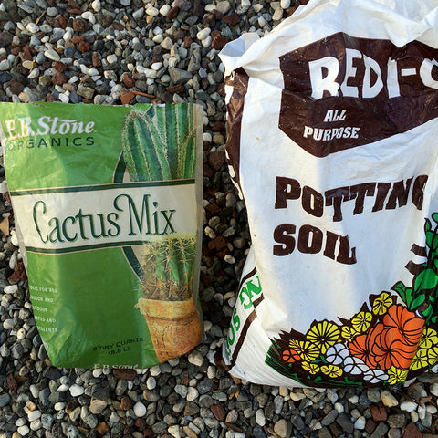 Organic cactus soil for succulents