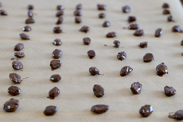 organic chocolate covered espresso beans