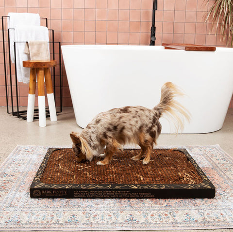 Bark Potty: All Natural Pee Pad