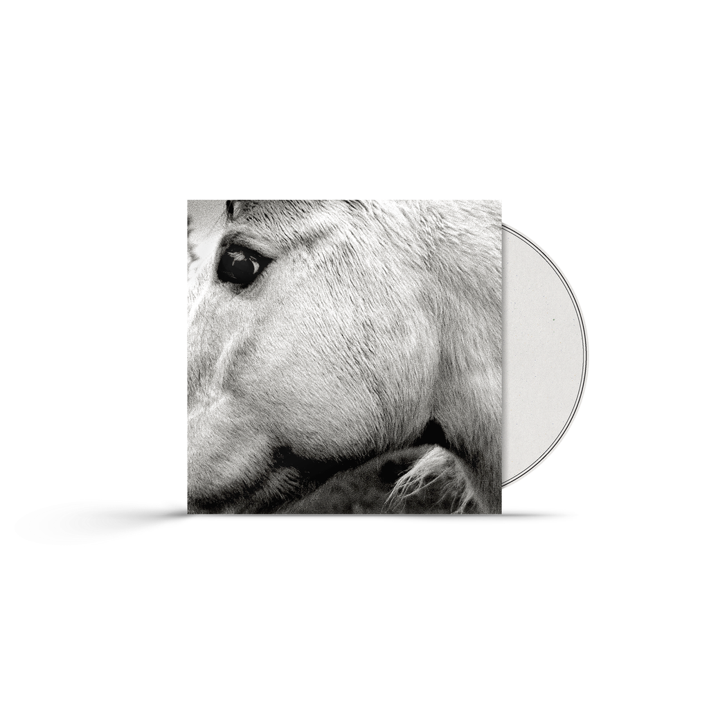 Hør efter Grundlæggende teori Håndfuld Bonny Light Horseman (CD) | Ambient Inks