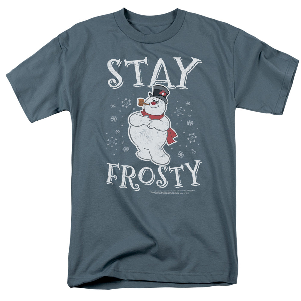 Frosty The Snowman Stay Frosty Metv Store