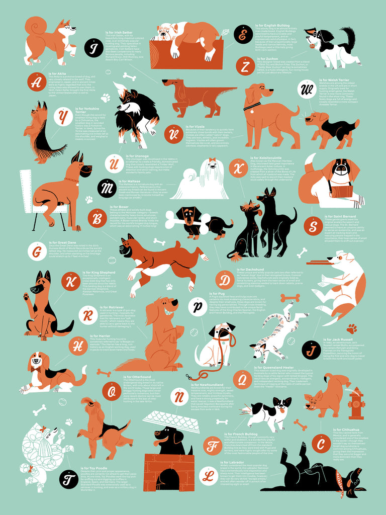 Dogs Alphabet – 55 Hi's