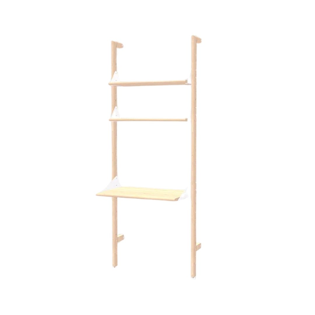 Branch-1 Shelving Unit with Desk